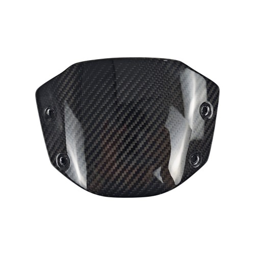 100 carbon fiber - carbon, windshield