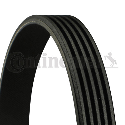 Continental ctam 5pk1166 extra - continental,