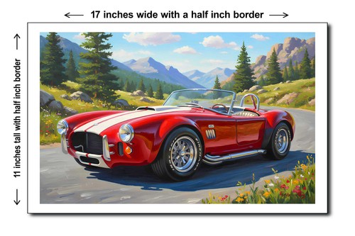 1967 shelby cobra 11x17 - 1967,