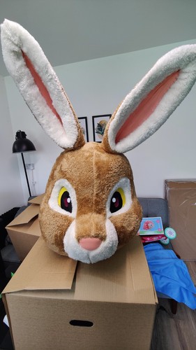 Peter rabbit lookalike mascot - peter,
