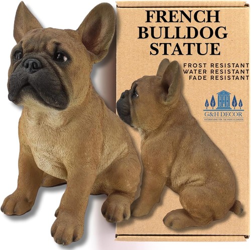 French bulldog frenchie dog - french,