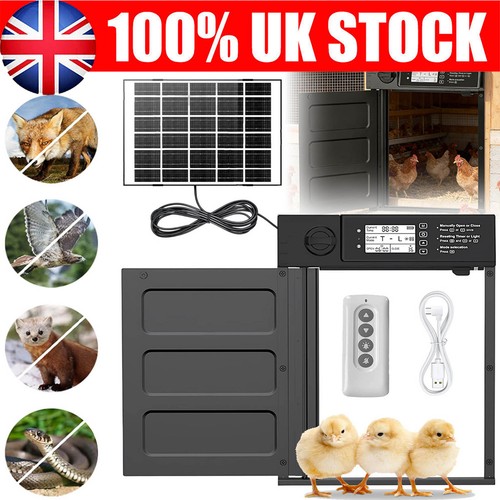 Automatic chicken coop - chicken,