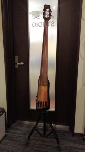 Ibanez 804 electric upright - ibanez, ub-804