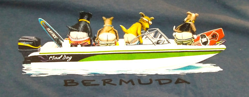 Bermuda dogs mooning - bermuda,