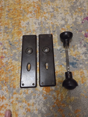 Lignum vitae door - lignum,