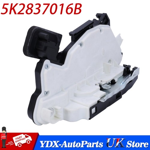 For polo beetle - (6r), /