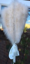 Feather shawl cape  WITH CREAM