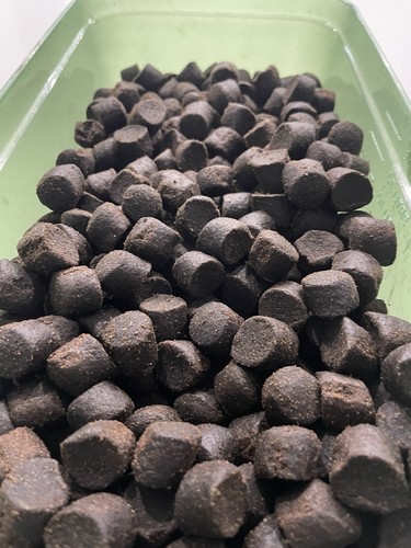 Large halibut carp cat pellet - large,