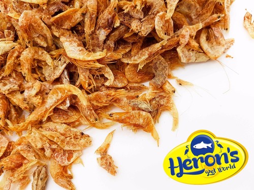 Herons dried shrimp sizes - dried,