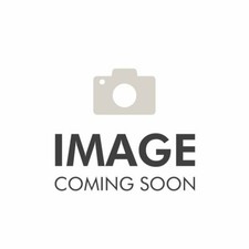 RALEIGH RECORD WHITEWALL 20" x