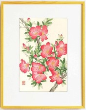 Framed by Yuichi Osuga