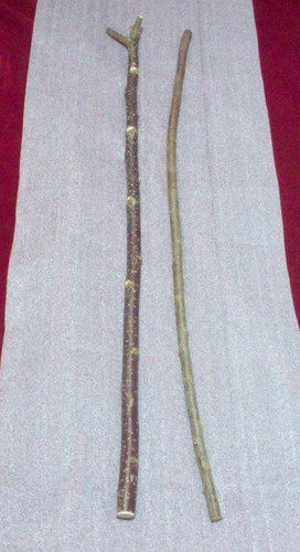Wood walking stick - 2, x