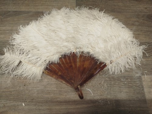 Vintage ostrich feather - vintage,