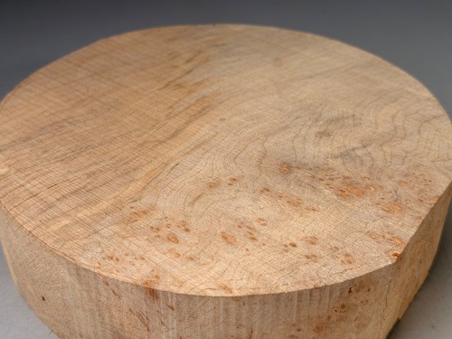 Spalted burr sycamore - burr, wood