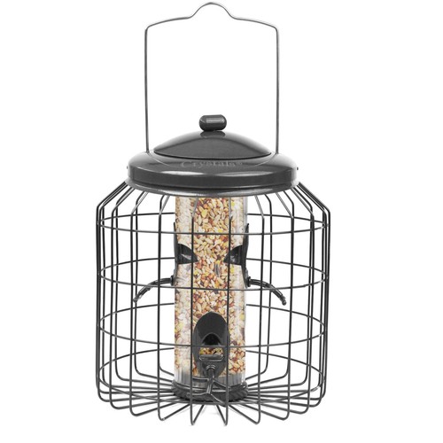 Squirrel proof hanging bird - proof,