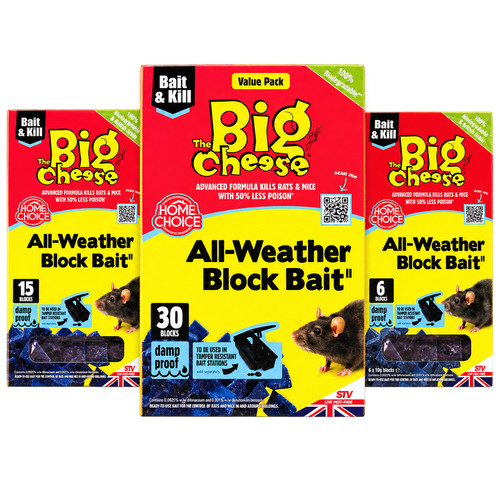 Big cheese professional - professional, stv