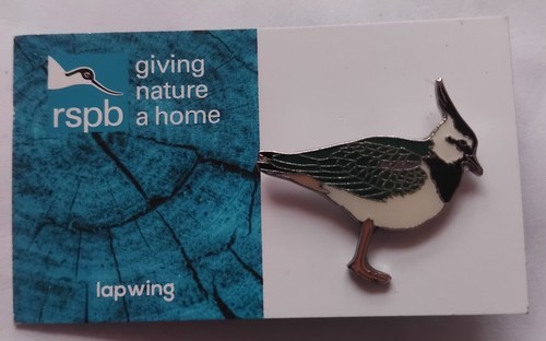 Rspb pin badge - of, lapwing