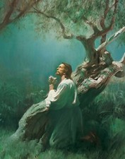 JESUS IN GETHSEMANE Glossy Picture Photo Poster Lord Christ Praying Christian
