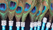 10 Peacock Feather Pen Favors ,Weddings,Sweet16,Bridal S,Quinceañera,Recuerdos