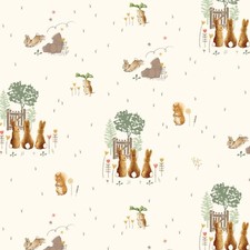 Peter Rabbit - Meadow Tails -