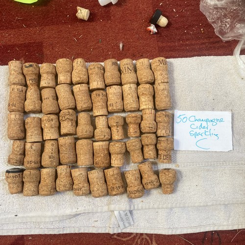 Champagne cider - /, cider/