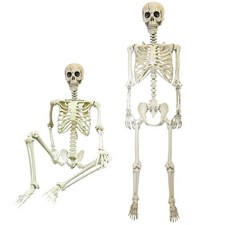 Poseable Skeleton Full Size 165CM Giant Halloween Party Prop Haunted House Decor