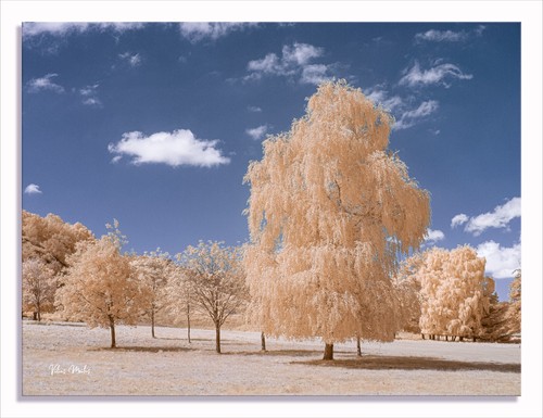 Converted infrared full - converted,
