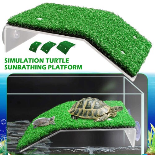 Turtle basking platform - basking,
