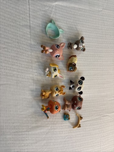 Small collection littlest - collection,