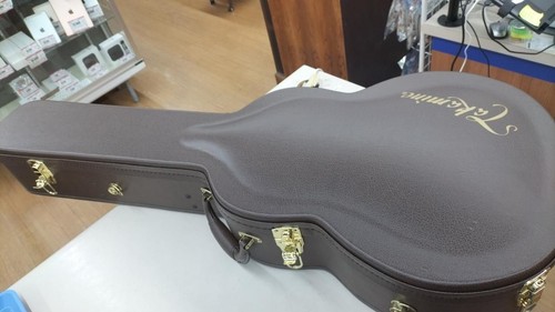 Takamine guitar case - guitar,