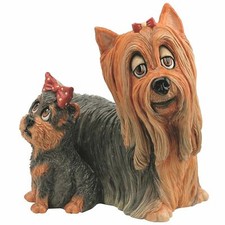 Pets Personality Yorkshire Terrier & Pup