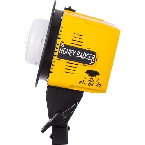 Honey badger photography