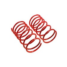 MTS Technik Lowering Springs
