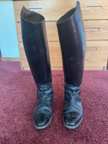 Petrie dressage pull - dressage,