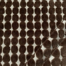 1.1.5m Harlequin Henry Holland