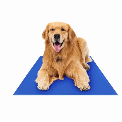 Pet dog cat cool mat - pet,
