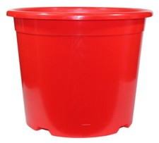 Red Plant Pot Flower Tomato