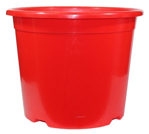 Red plant pot - pot, tomato