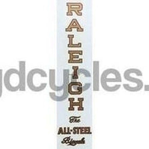 Raleigh verical all - "all, steel