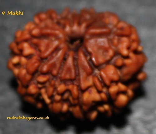 Nine mukhi facet - nine,