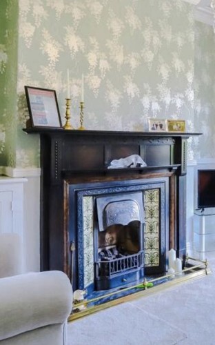 Antique cast iron fireplace - antique,