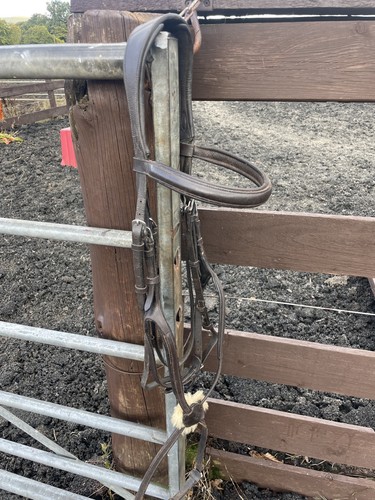 Shires velociti rapida xfull - shires,