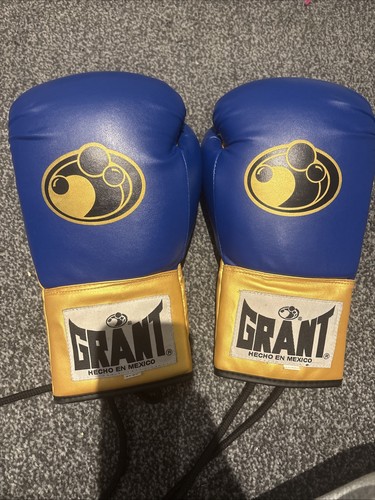 Grant boxing gloves - gloves, 14oz,