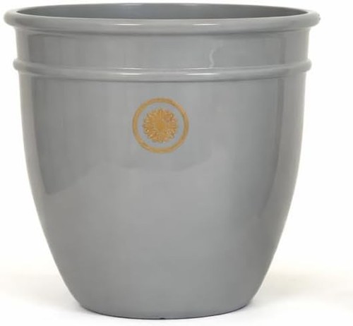 Large grey garden plant - garden, pot