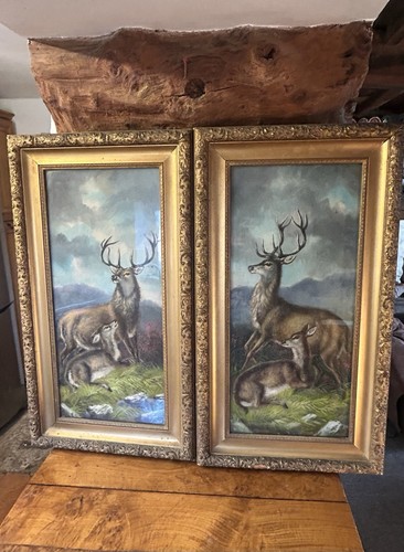 Stunning pair large alfred - large,