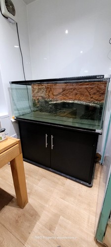 Reptile tank used - reptile,