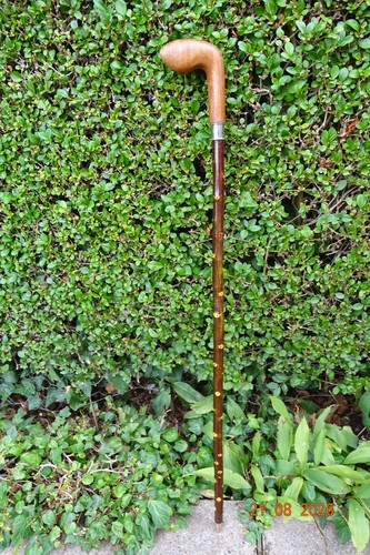 Walking stick with blackthorn - walking,