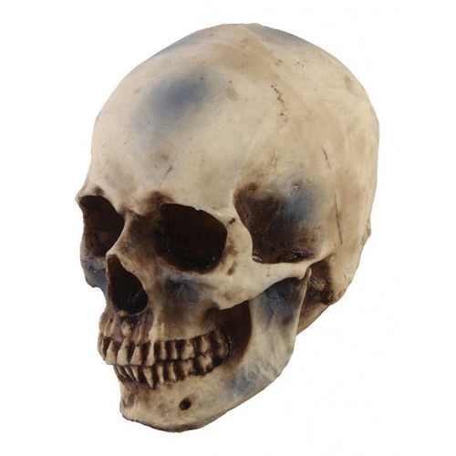 Life size resin - life, human