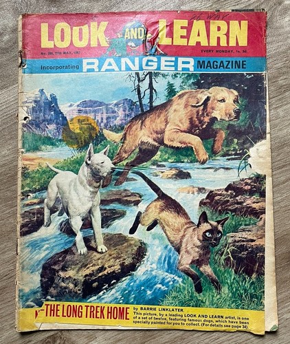 Vintage look and learn - vintage,