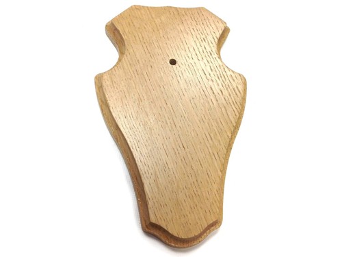 Trophy shield roe muntjac - shield,